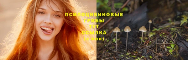 мескалин Саяногорск