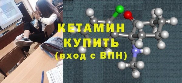 шишки Сатка