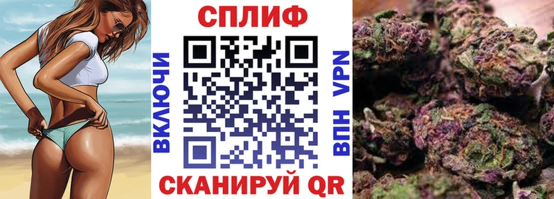 где найти наркотики  Рассказово  Конопля семена 